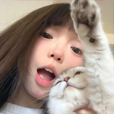 恋恋书中人
