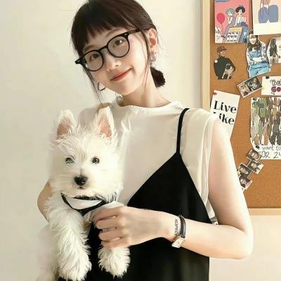 猛龙怪客4：镇压