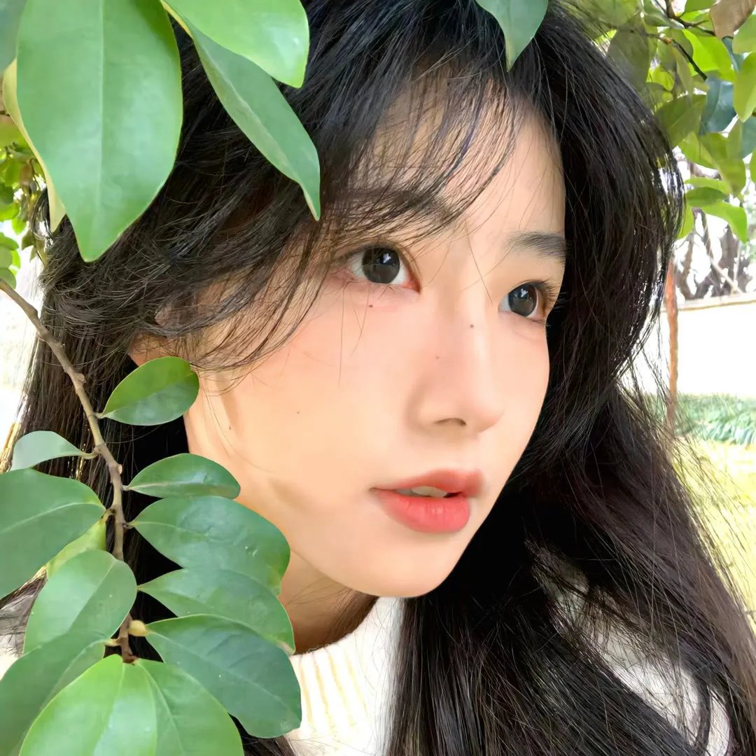 我的村我的家