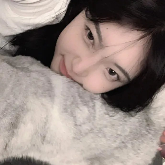 松树街的那幢房子