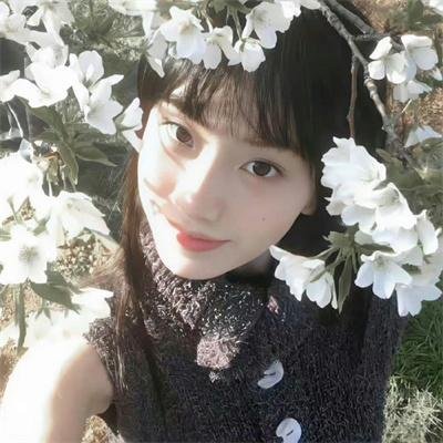 戴洛奇小镇第一季